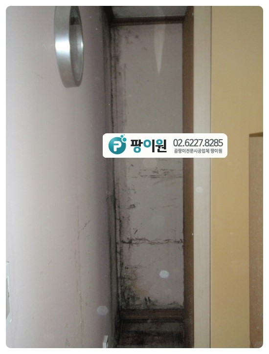  장롱 뒤 벽지 곰팡이 심상치 않다!