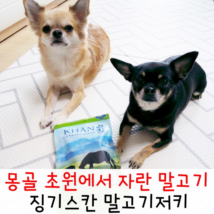  블루셰프 말고기 져키 고단백 저칼로리 강아지 간식