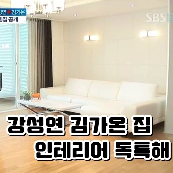 강성연 김가온 아파트 집 인테리어 독특해