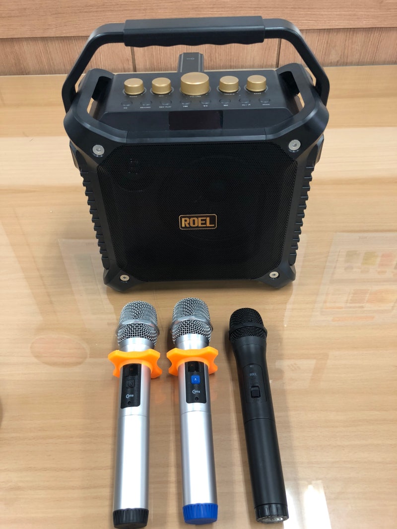 로엘 버스킹 DJ (이동식 앰프) - 176,400원 (최강의 가성비) : 네이버 블로그