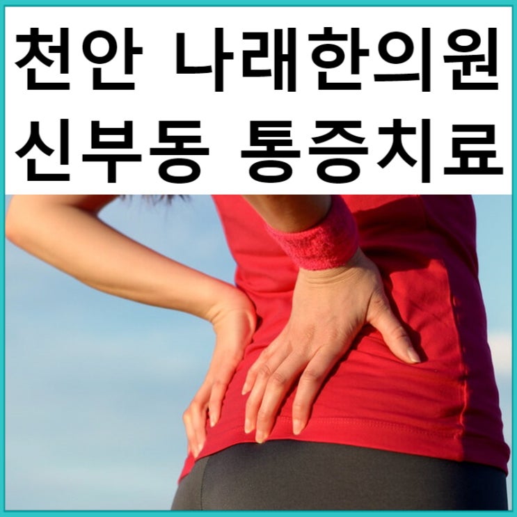 신부동 한의원 : 골반통증 : 허리아래에서 엉덩이 윗부분의 통증 : 천안 나래한의원