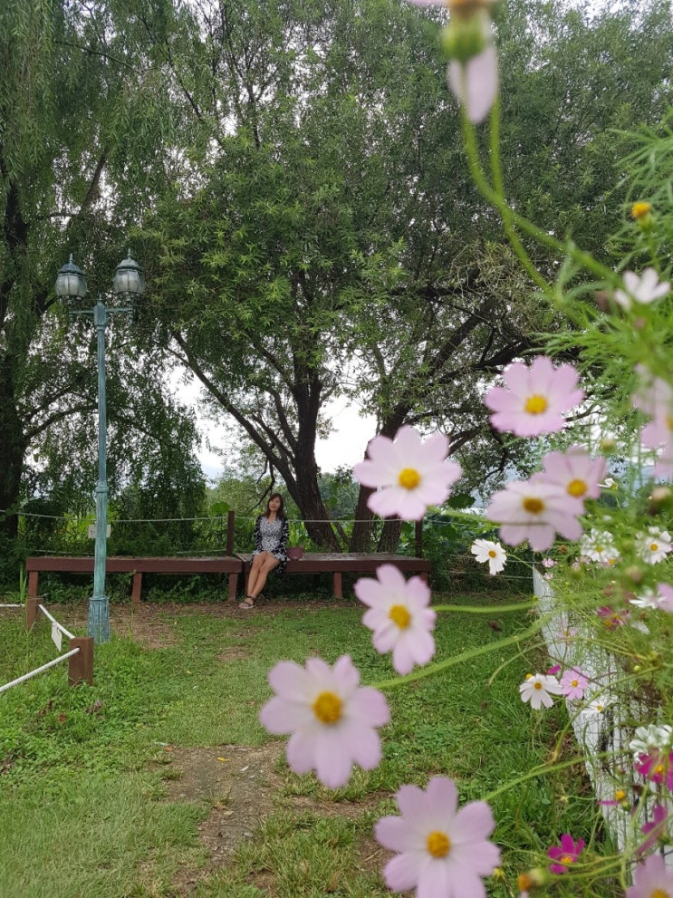  가을 사진을 멋지게 찍을 수 있는 장소가 있다면 공유해주세요!
