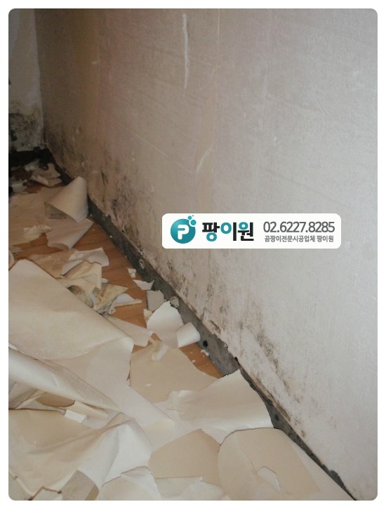  서울 벽지곰팡이제거업체 어디?