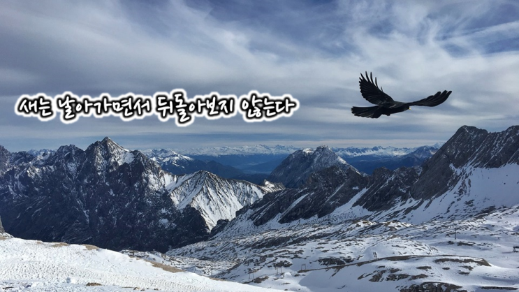  하루 그릇_류시화의 글은 언제나 나를 실망시키지 않는다!