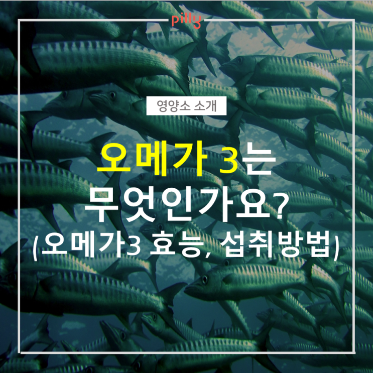 [필리영양제소개] 오메가3는 무엇인가요? (오메가3효능 , 오메가3섭취방법, 오메가3 오메가6 차이점)