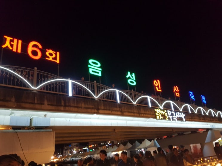  먹거리,놀거리,볼거리 가득한 제6회 음성 인삼 축제 야시장