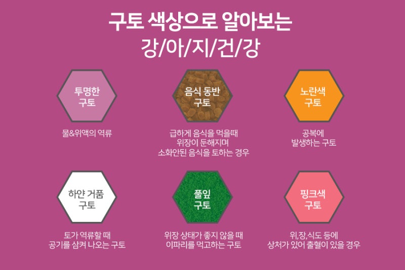 강아지가 토할때 확인해야 하는것은? (구토 원인/질병) : 네이버 블로그