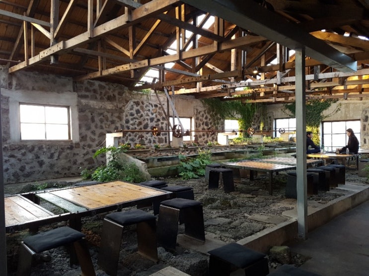 엔트러사이트와 협재식물원