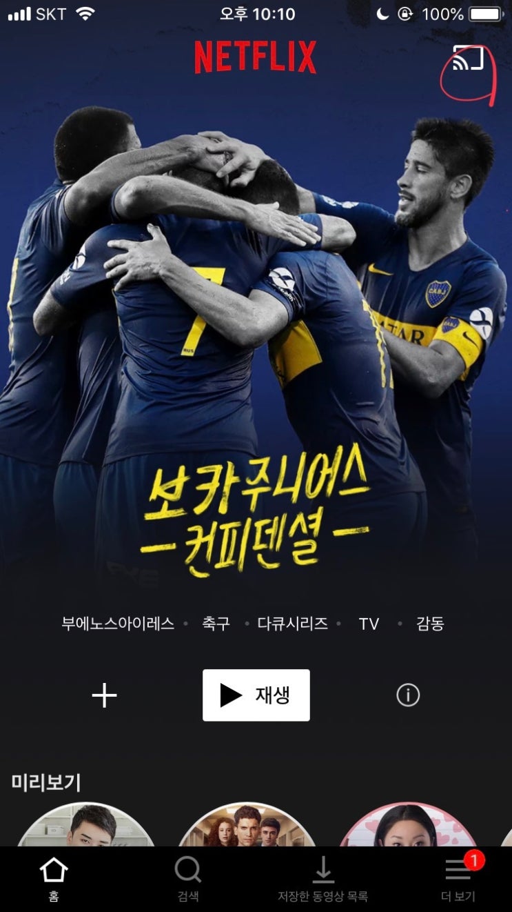  아이폰(또는 아이패드)과 스마트티비로 넷플릭스 미러링, 넷플릭스 미러링 오류