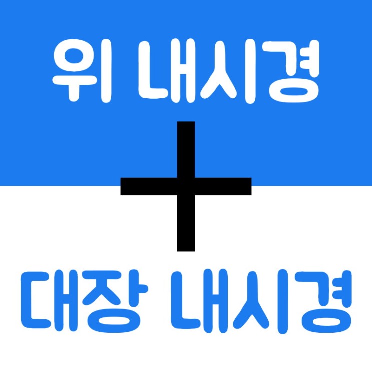 건강검진이벤트 리뷰 / [서울] 위내시경 + 대장내시경 비용 및 설명