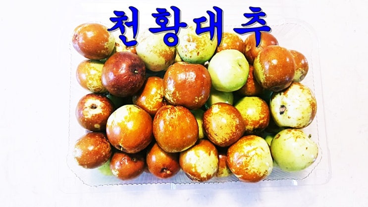 서울시 남부기술교육원 점심메뉴_대통남의 조경 이야기 천황대추 보은대추축제 미림원예종묘 대림원예종묘