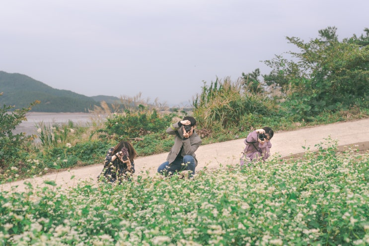  광주 필름카메라 모임 <찰칵> 세 번째 _ 전남 장흥 선학동 연인이란 꽃말을 가진 메밀 밭에서