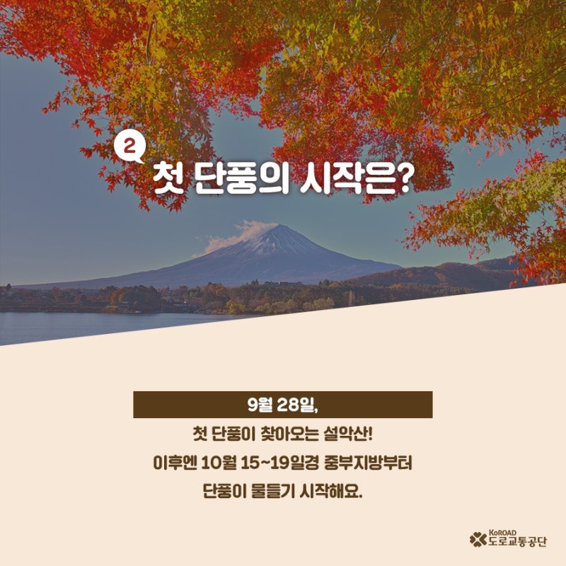 단풍 커밍쑨! 2018 가을 단풍 시기 알아보기 : 네이버 블로그
