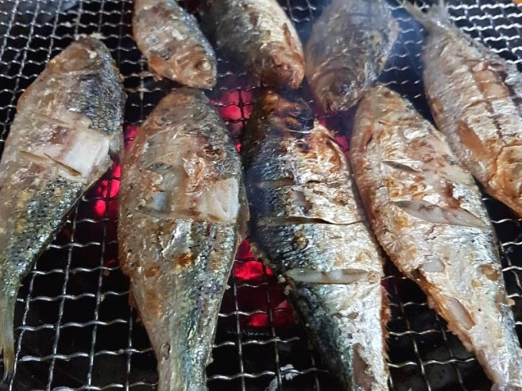 구리장어맛집 팔당민물장어에서 장어구이, 전어구이, 물회, 회무짐으로 푸짐한 가족모임
