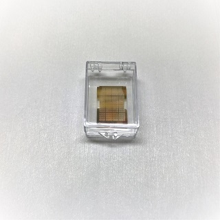  [2D Semiconductors]Transferred CVD grown monolayers