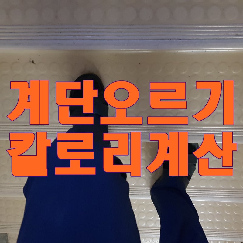 계단오르기 칼로리 소모 계산하기 : 네이버 블로그 계단오르기 칼로리 소모 계산하기 : 네이버 블로그