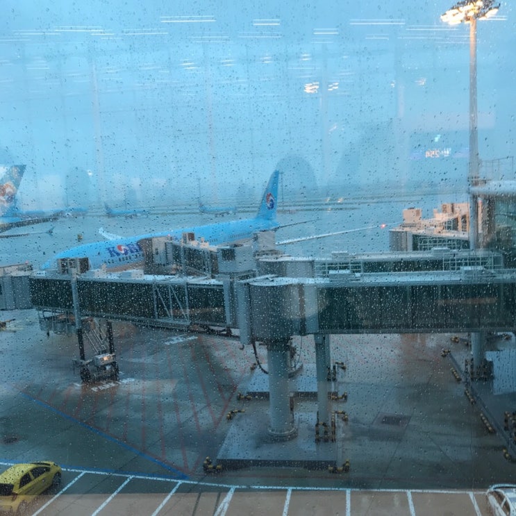  후쿠오카 효도여행, day1: KE787 이코노미 탑승기