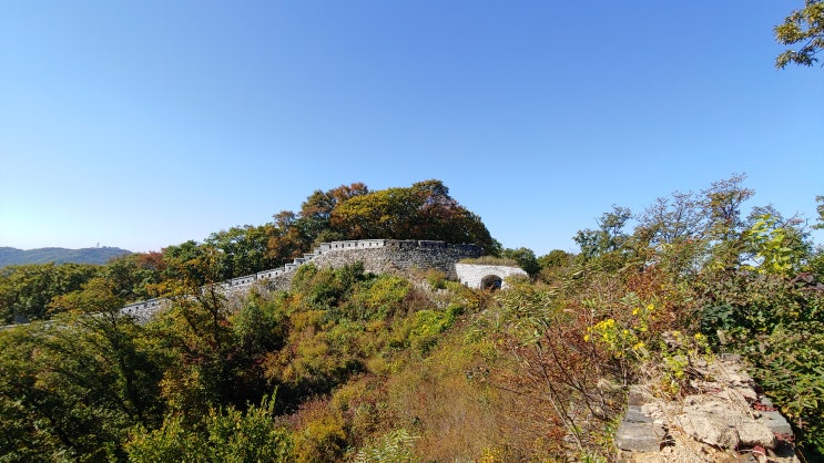 남한산성 벌봉 가는길 벌봉 및 남한산성 성곽길 야생화 탐방