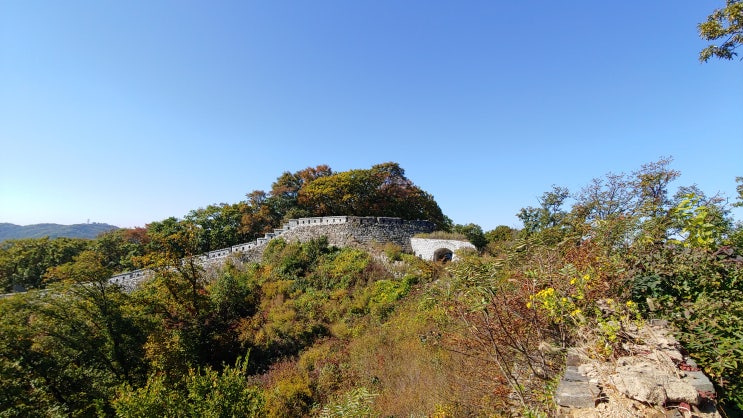 남한산성 벌봉 가는길 벌봉 및 남한산성 성곽길 야생화 탐방 남한산성 벌봉 가는길 벌봉 및 남한산성 성곽길 야생화 탐방