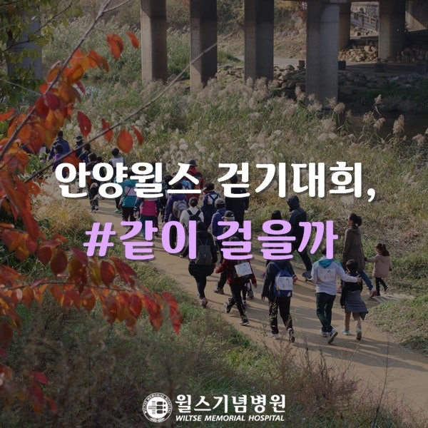 안양윌스 걷기대회, 같이 걸을까?