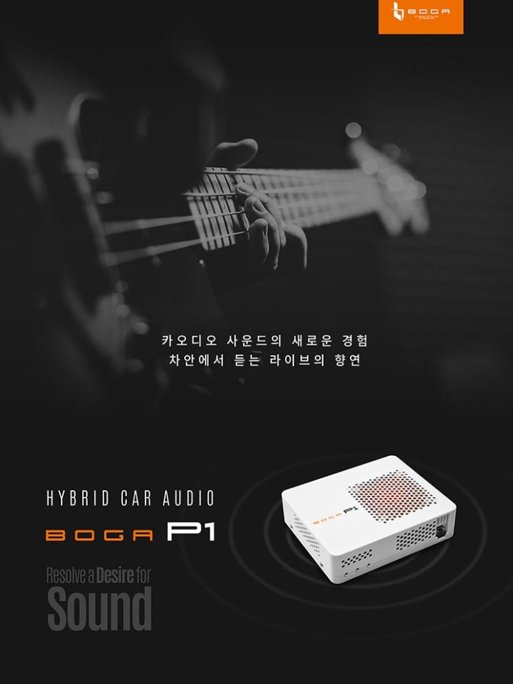 하이브리드 카오디오 시스템 BOGA P1