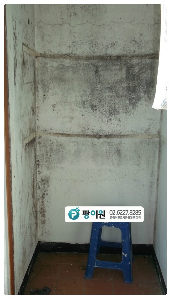  베란다 창고 곰팡이제거 후 항균 단열시공~