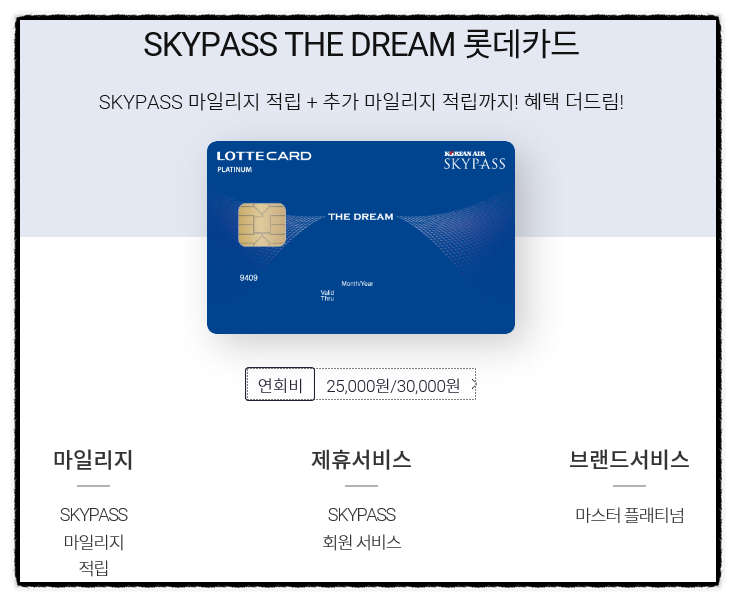  스카이 패스 마일리지 적립 SKYPASS THE DREAM 롯데카드
