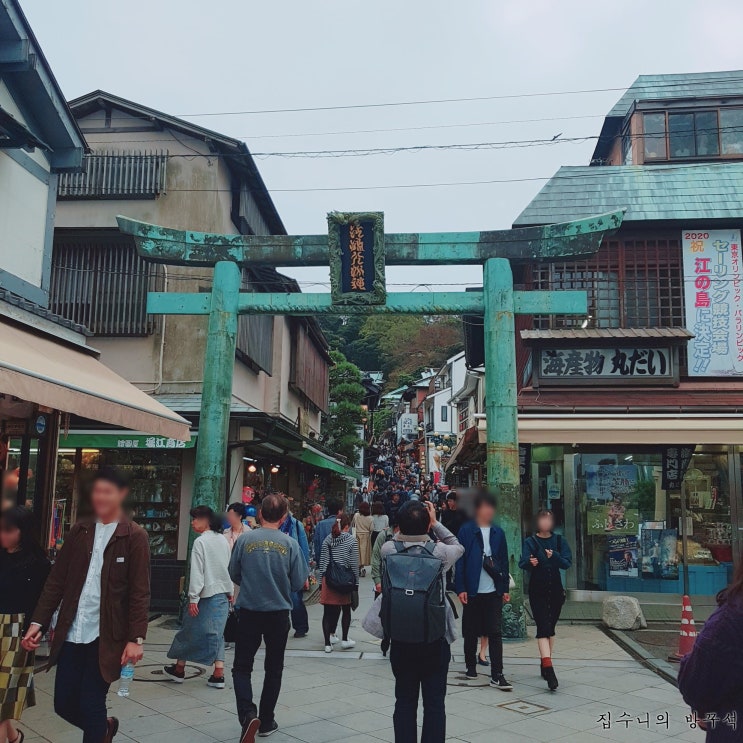  [일본워홀] 105日 에노시마, 가마쿠라 프리패스 구매방법 / 가마쿠라 쓰루가오카하치만구 신사 / 가마쿠라고교 슬램덩크 그곳! / 에노시마 신사 / 신주쿠 야스베