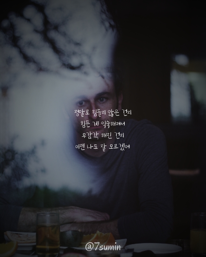 익숙해진걸까