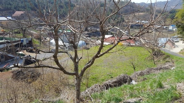  부여 누수탐지 규암면 누수공사 업체 바로 제일누수탐지수도설비 해결해드립니다.