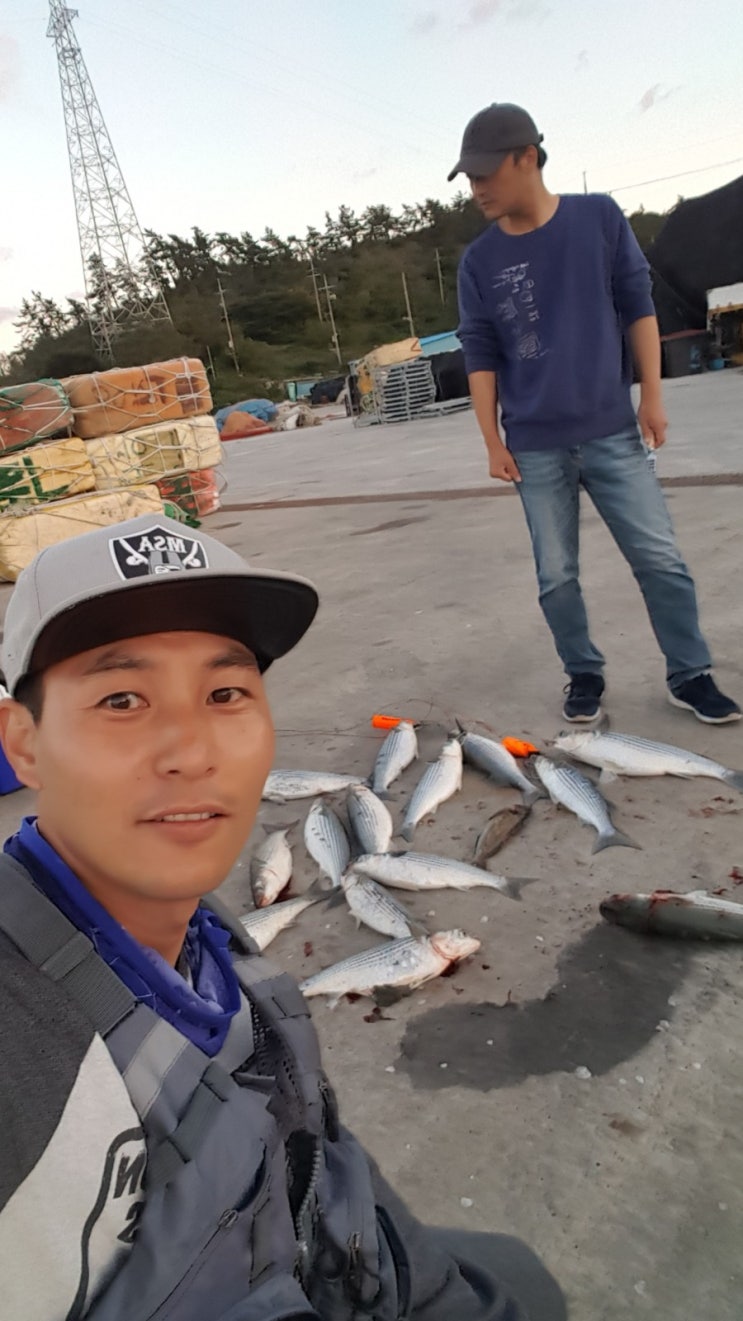  전라북도 식도 낚시여행~숭어, 우럭 원없이 잡아보다;;;;