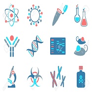  분자생물학 정리2 (DNA / RNA / 단백질 / 효소)