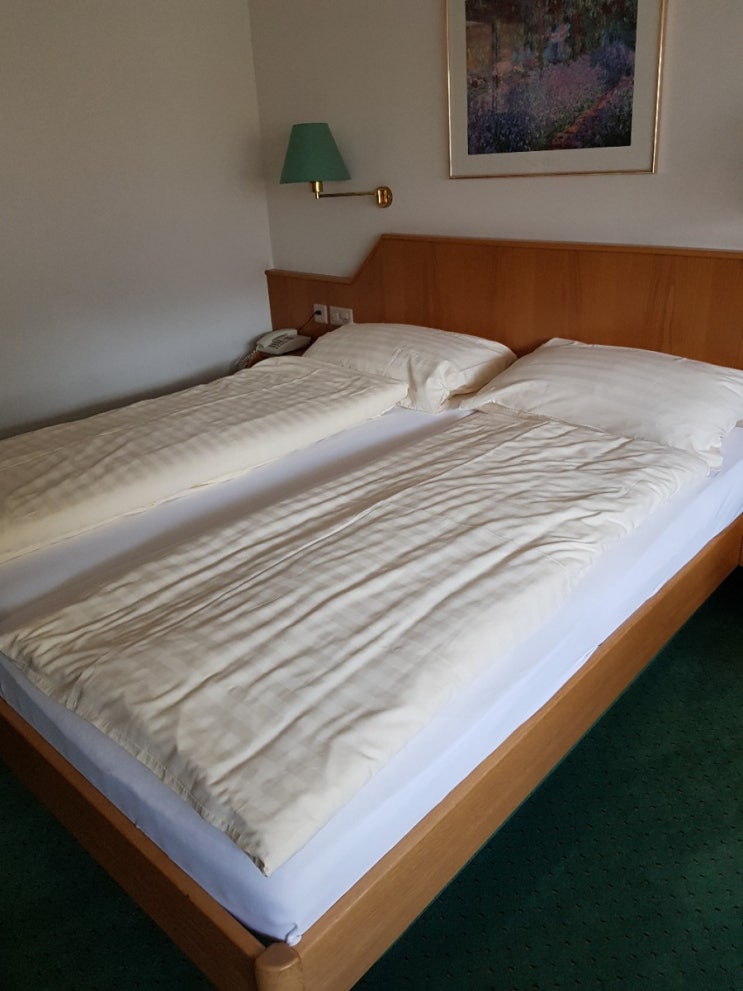  스위스 체르마트 셰미니 호텔 / cheminee hotel