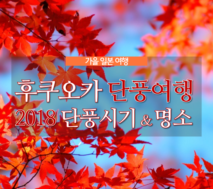  11월 일본여행 <후쿠오카 단풍여행 명소 추천> 단풍시기 언제?