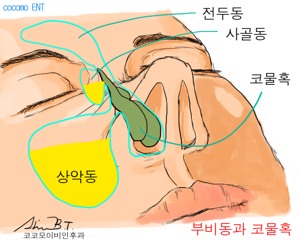  코물혹수술 후기 동영상으로 꼼꼼히 알아보자