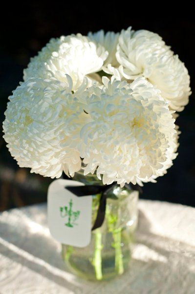 10월14일 탄생화 영어 꽃말, 어원- 흰색 국화(Chrysanthemum, White); [Truth; 사실, 진실] : 네이버 블로그