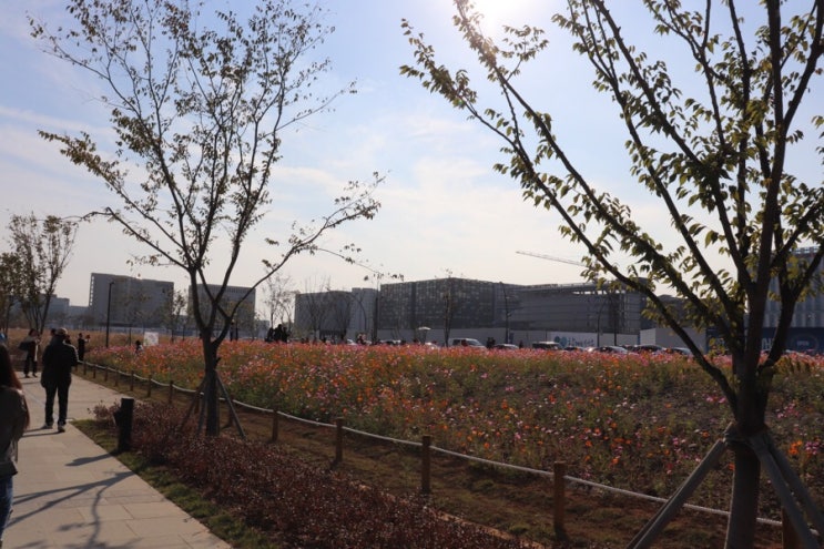 서울식물원 임시개방 : 서울 나들이 추천 ! 마곡 서울식물원 방문