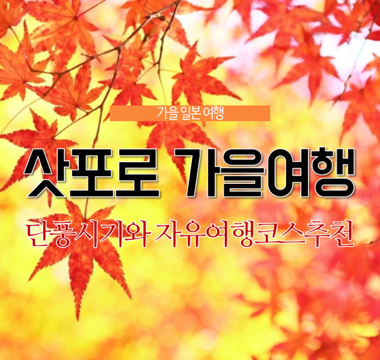  10월 삿포로 여행코스 추천! 삿포로 단풍시기, 명소 여기야