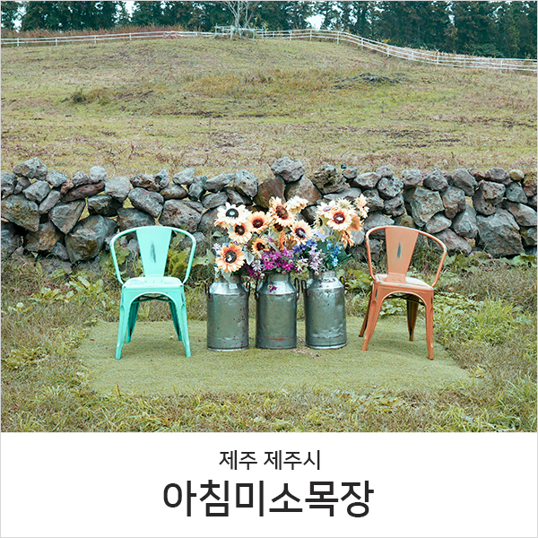  제주도 아이랑 가볼만한곳 l 아침미소목장 체험이 많아