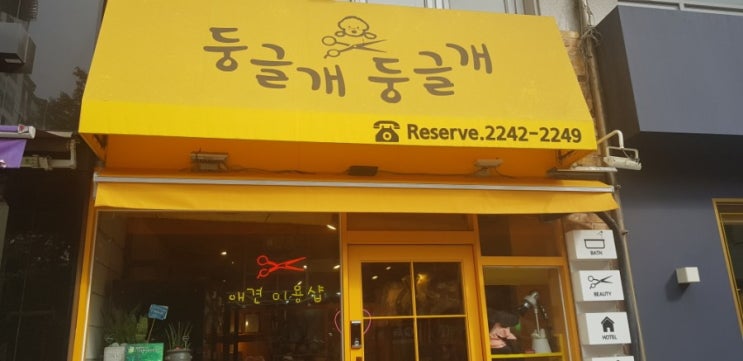  둥글개둥글개 강아지미용 너무 만족해요:)
