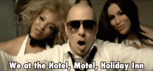 pitbull 네이버 블로그
