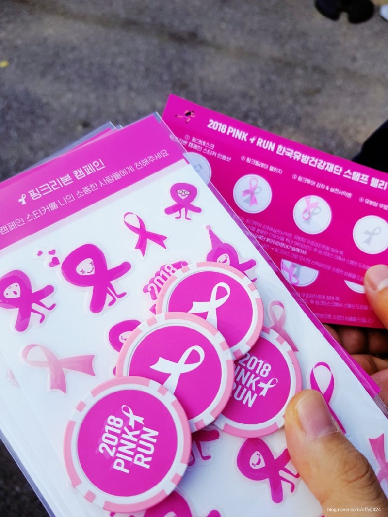 20대 유방암 투병일기#52. 2018 PINK RUN SEOUL 핑크런 마라톤 참가후기(10km,2018.10.14) : 네이버 블로그