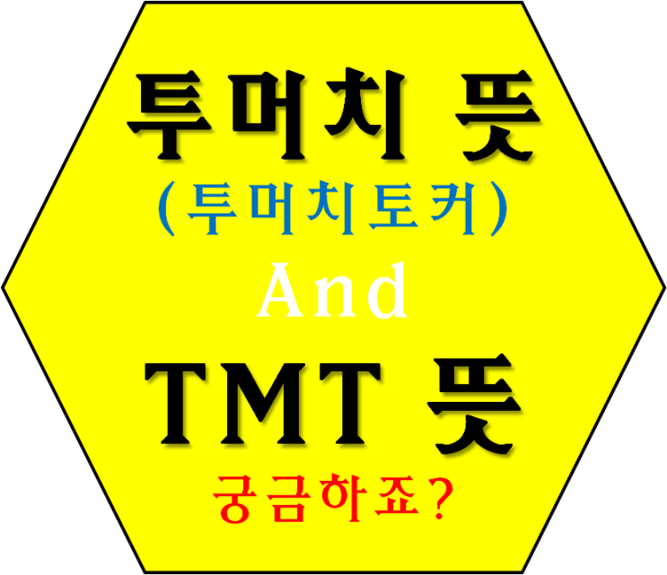  투머치 뜻 투머치토커 TMT 뜻까지 싹쓸이