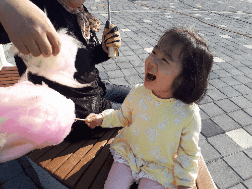  일상) 장성 노란꽃잔치!