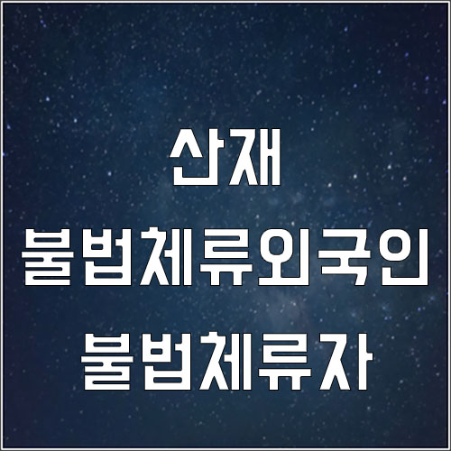  불법체류외국인 산재(불법체류자)