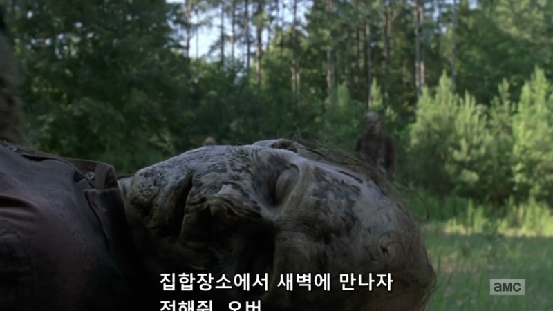 워킹데드 시즌9 1화 새로운 시작 그리고 분열 네이버 블로그