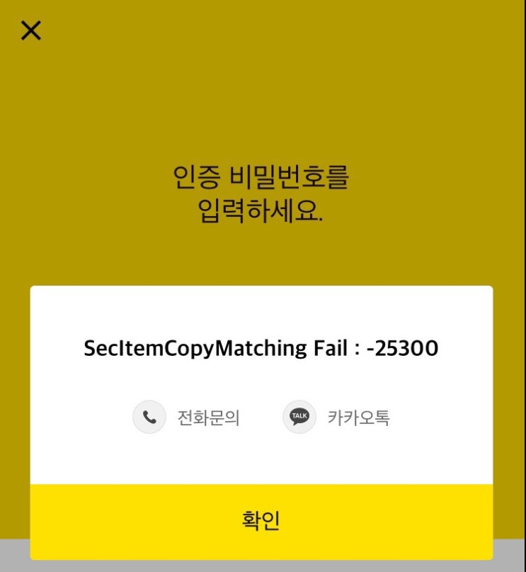  카카오뱅크 오류