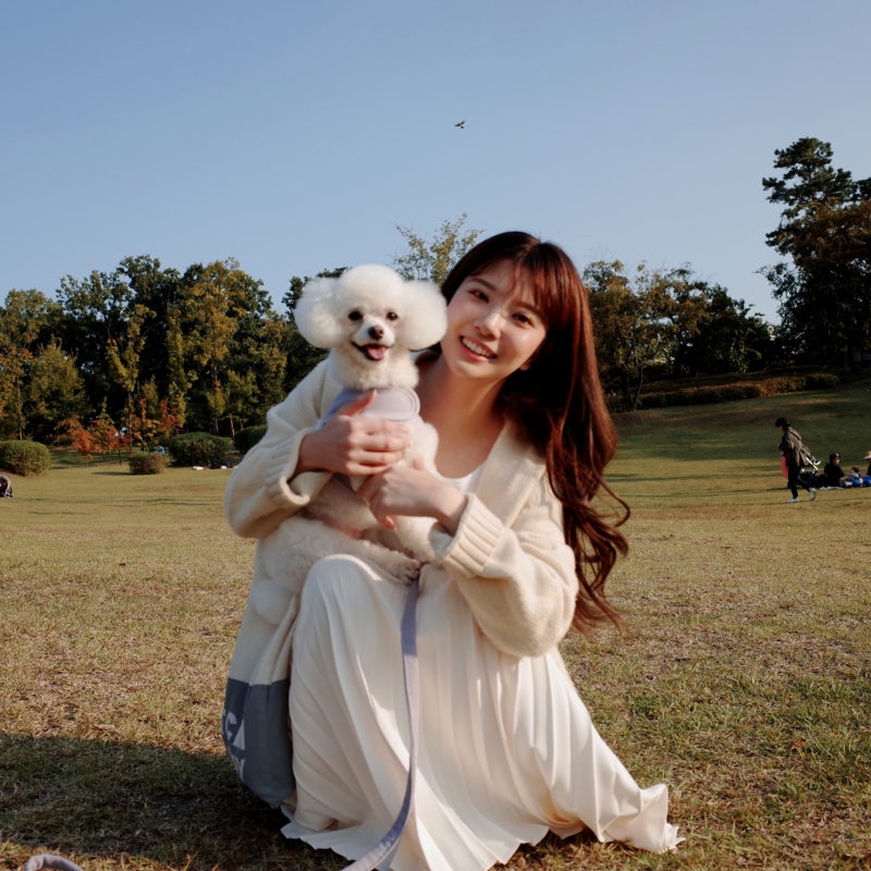 [현대백화점압구정본점애견샵]루이독 부띠끄 Louis dog boutique 하네스 set ๑❛ワ❛๑