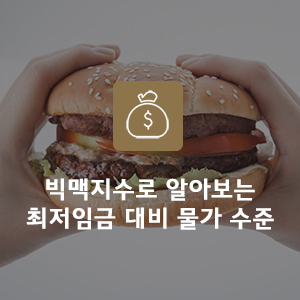  빅맥지수로 알아보는 최저임금 대비 물가 수준