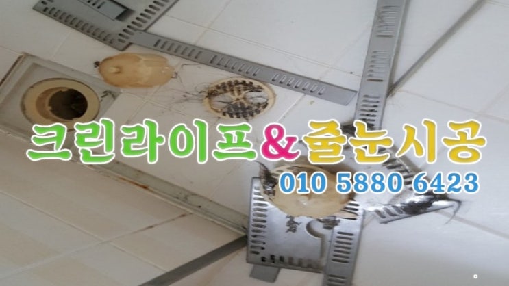  크린라이프&줄눈시공전문업체//양산물금LH1단지이사청소[양산청소업체]